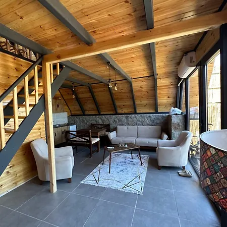 Lodge A-framehouse *
